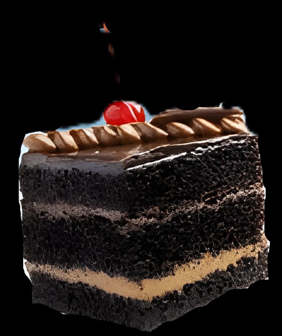 PORCION DE TORTA DE CHOCOLATE
